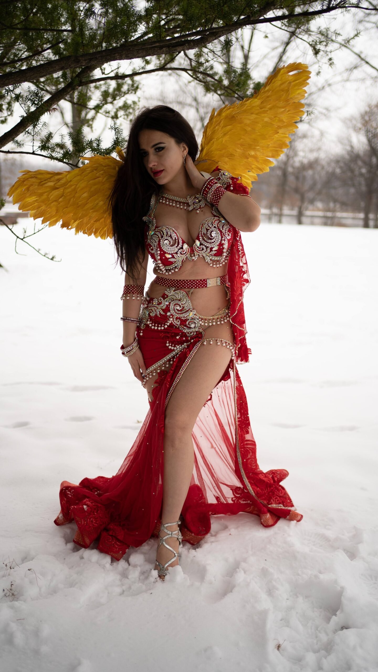 Belly Dancer NYC